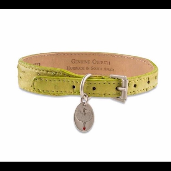 Handmade Ostrich Dog Collar - Picture 3 of 7